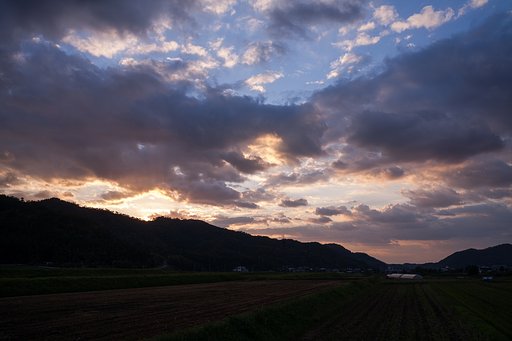 久しぶりの夕焼け。