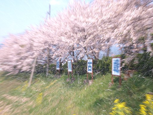 春の【風を感じて】