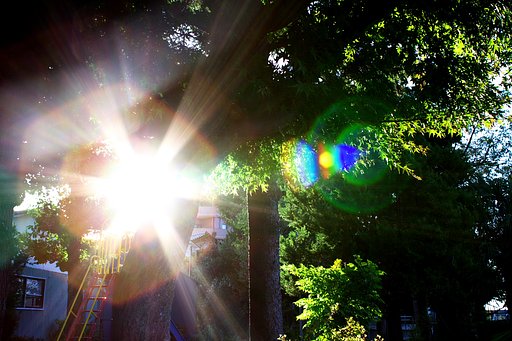 公園に当たる日差し