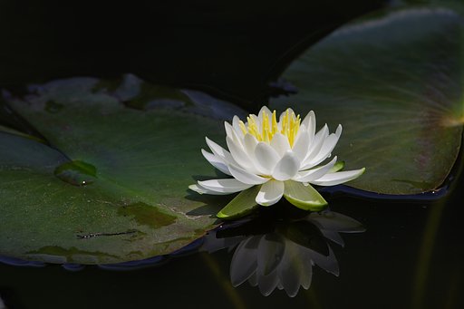水面にも