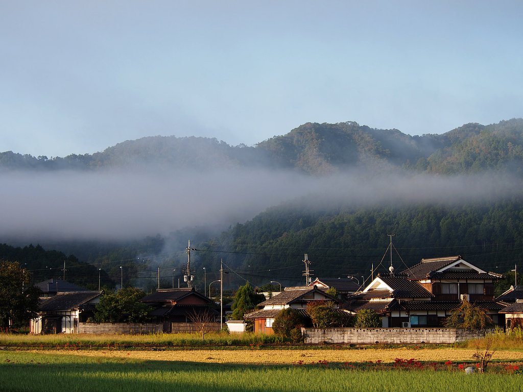 京都朝霧