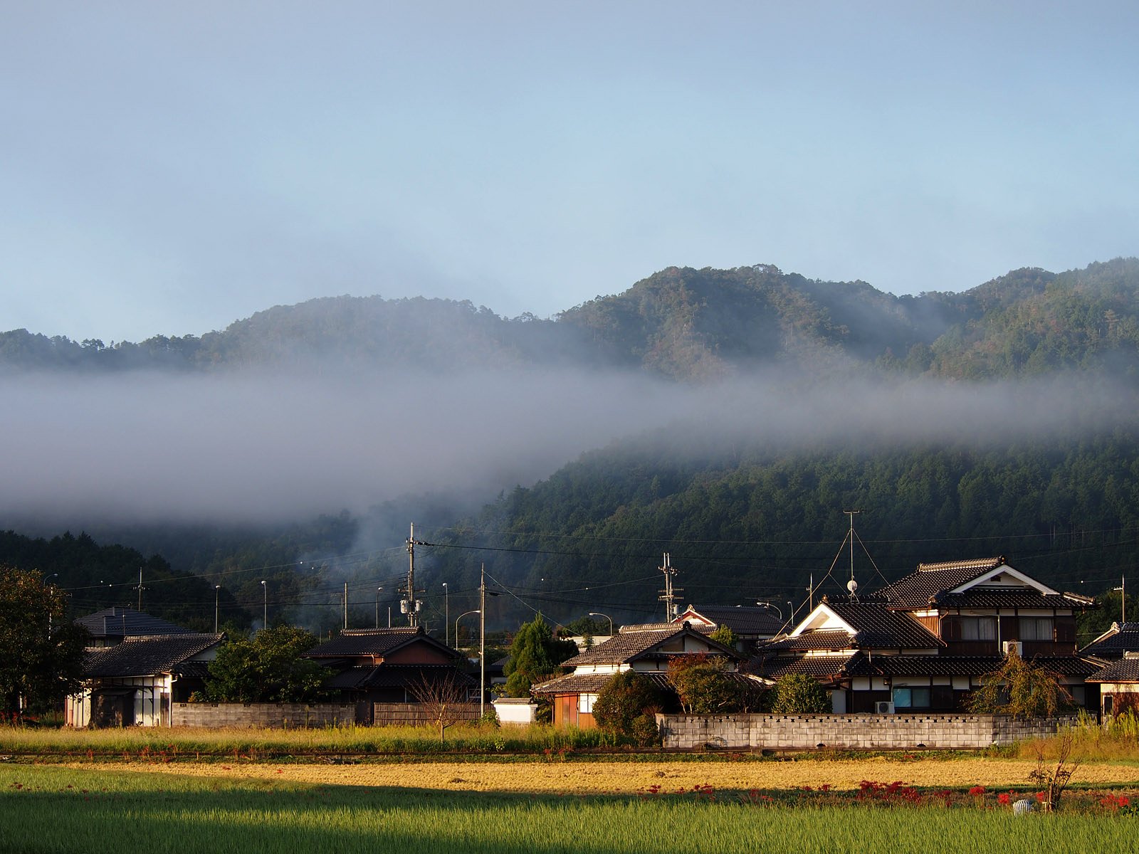 京都朝霧