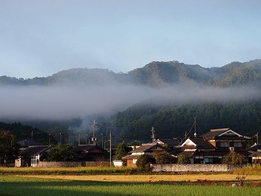京都朝霧