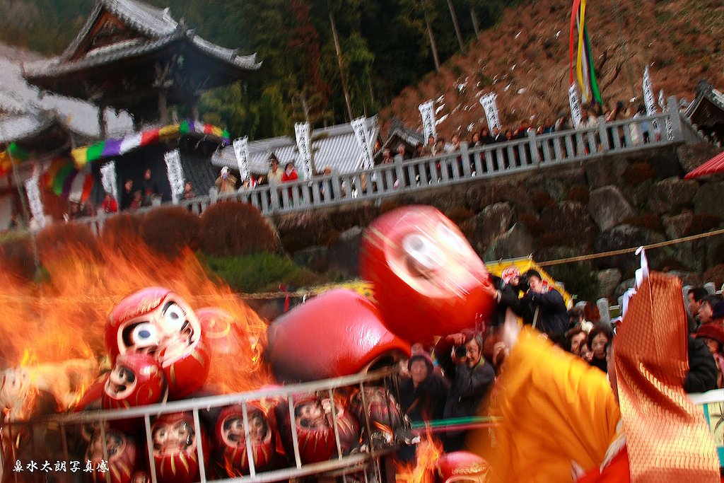 「動」ほぉい〜！