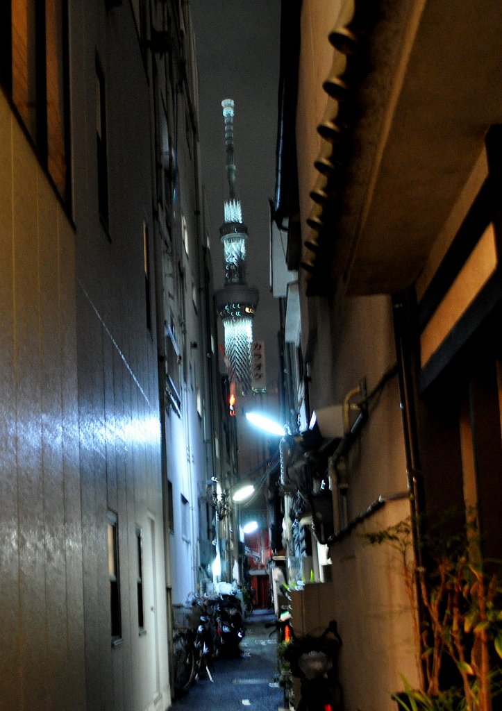 路地から東京スカイツリー
