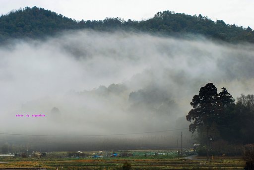 雨上がり