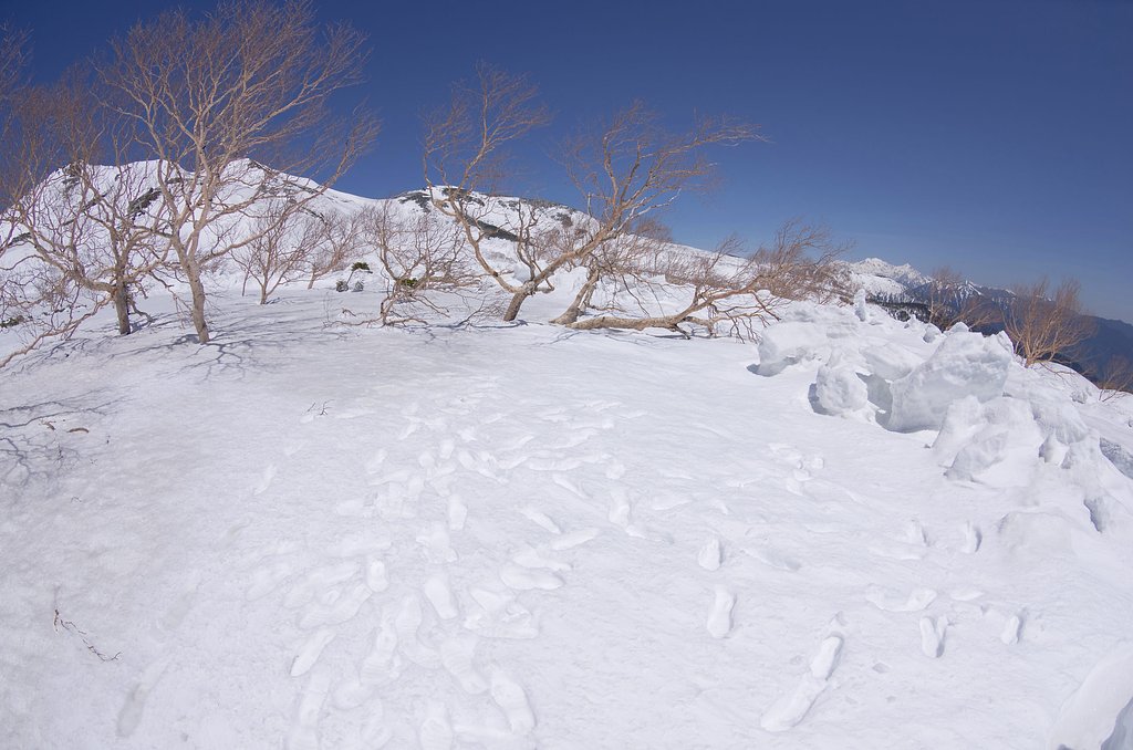 春山散策