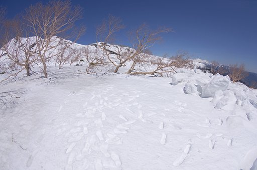 春山散策