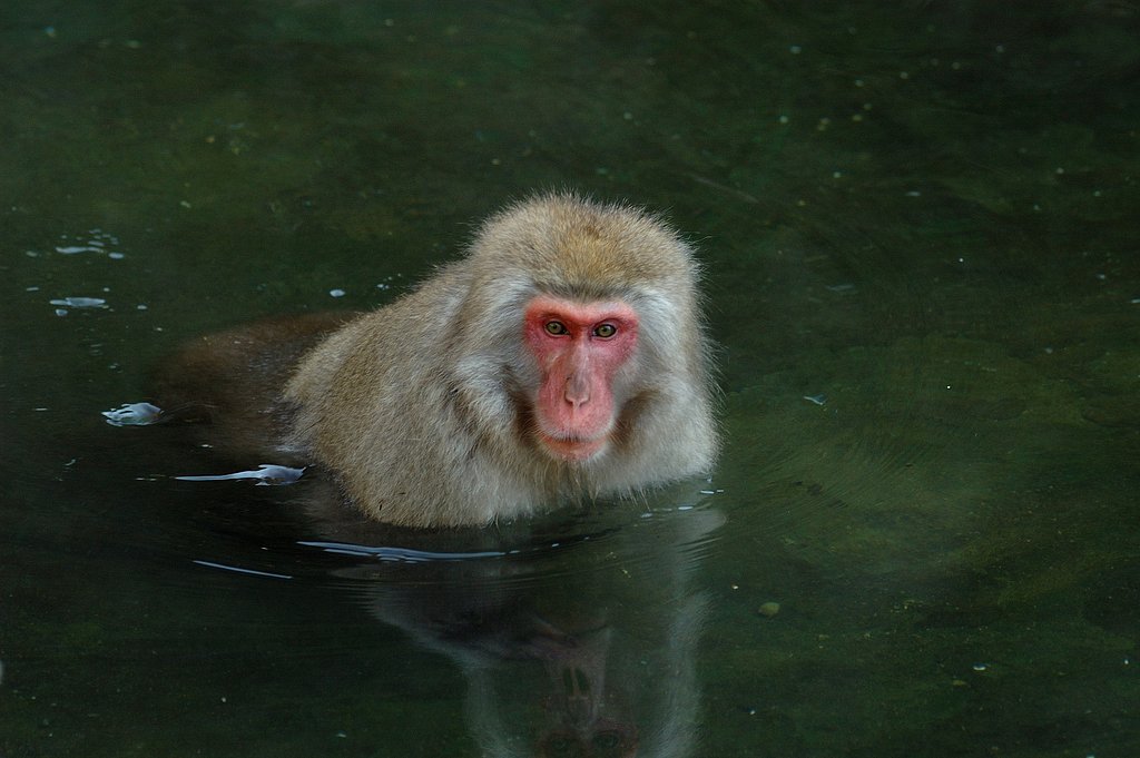 入浴中