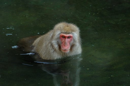 入浴中