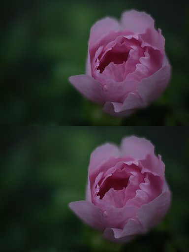 DLO比較
