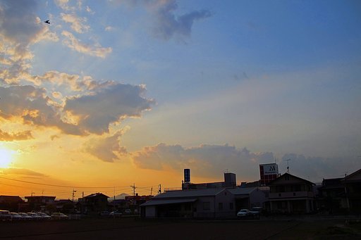 ちょっとだけよ