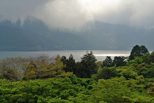 光差す