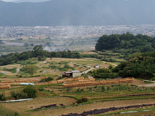 姨捨の棚田