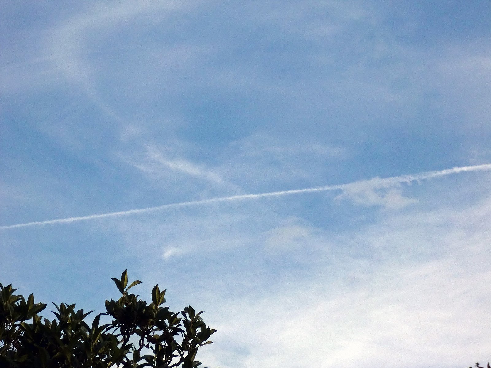 飛行機雲