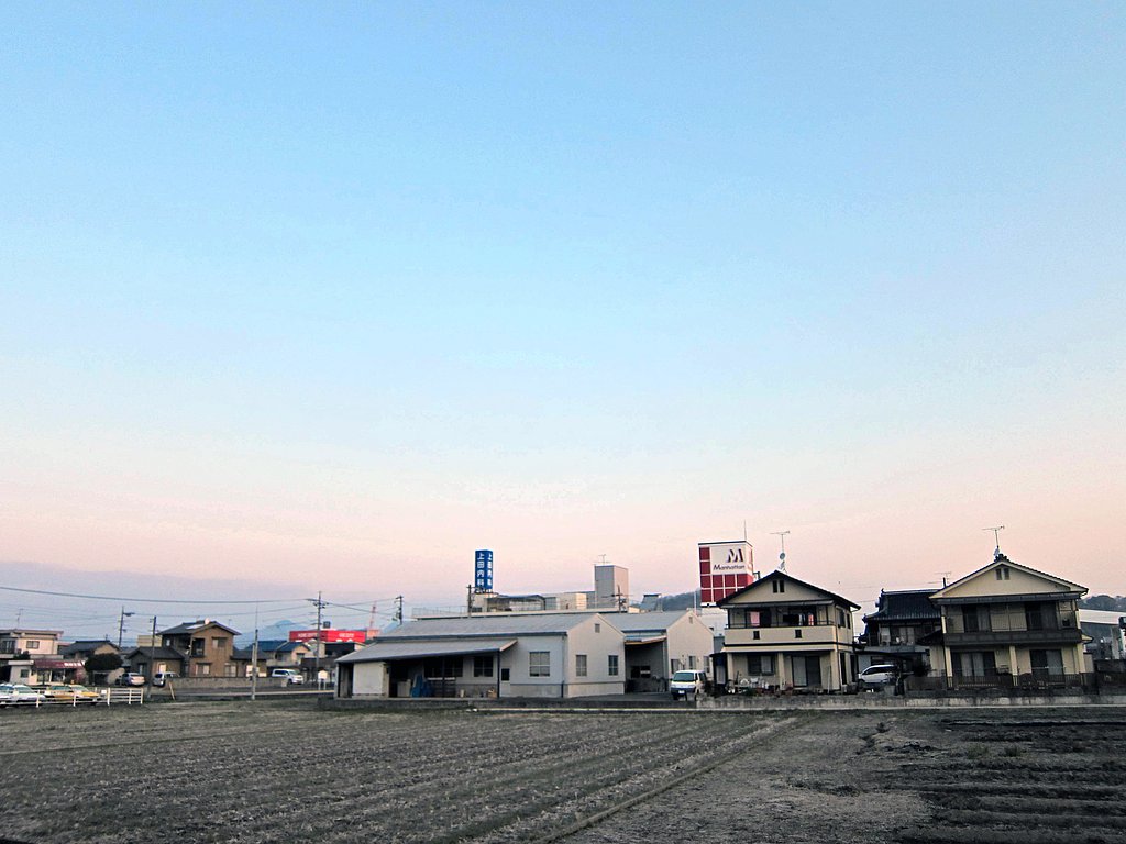 冷えた今朝