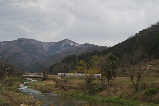 今朝は強風が吹いてます。