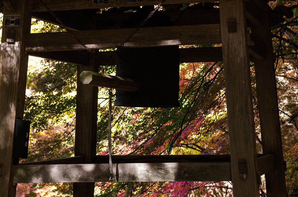 鐘突堂の紅葉