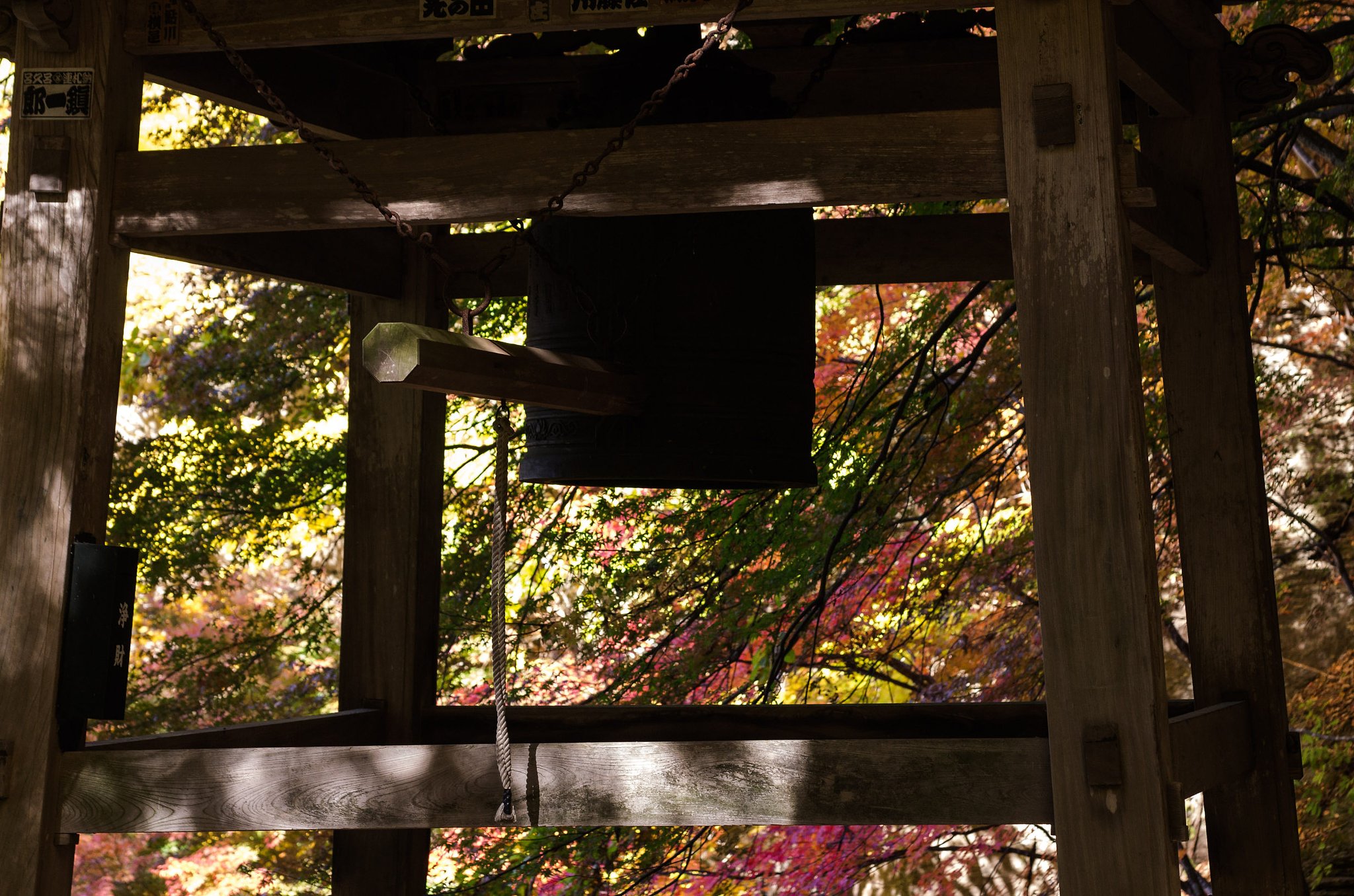 鐘突堂の紅葉