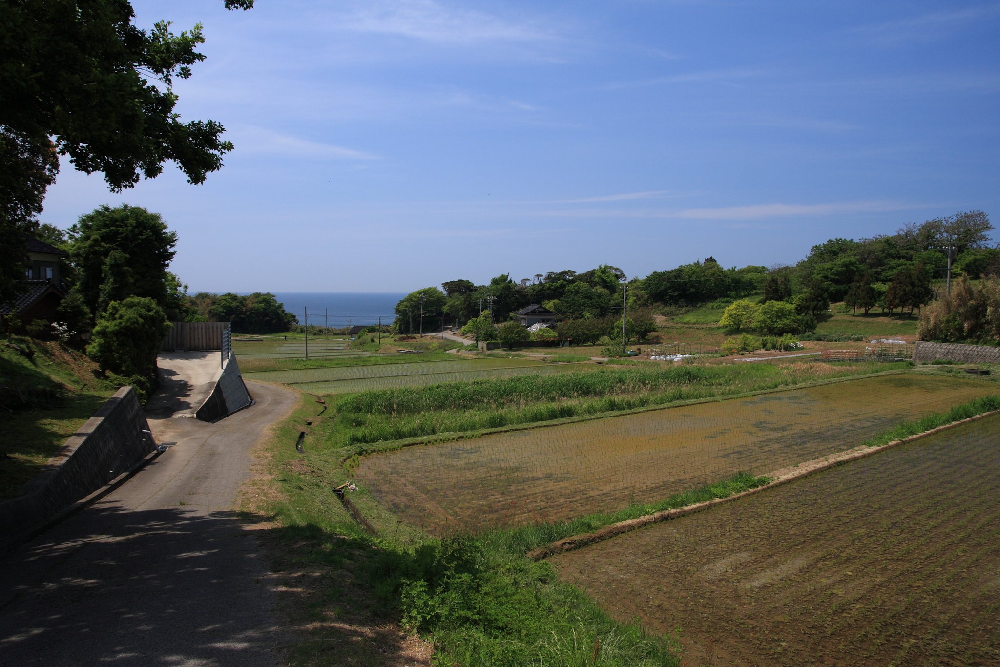 海の見える棚田