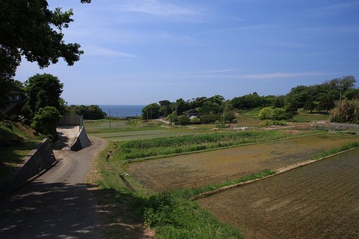 海の見える棚田
