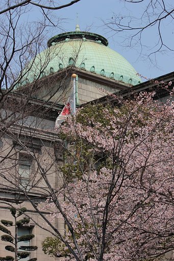 中之島の図書館の空