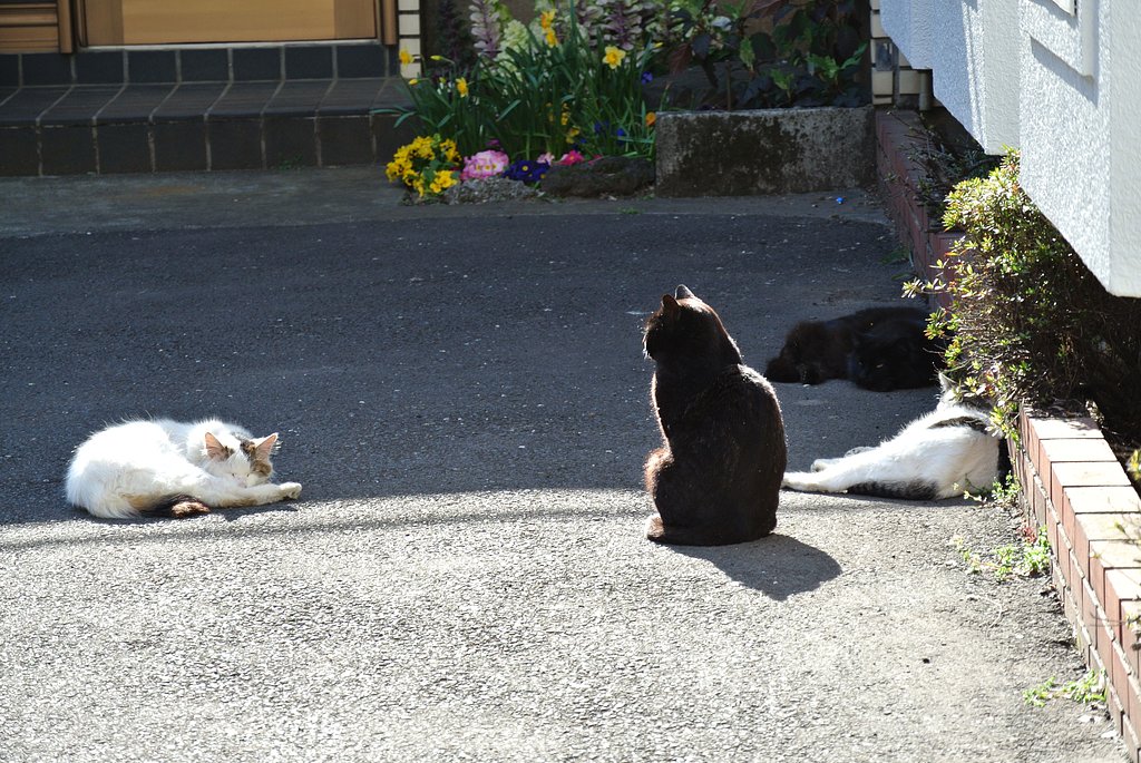 俺の話を聞け〜