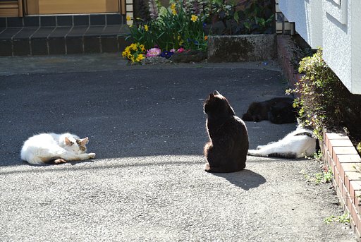 俺の話を聞け〜