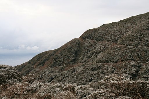 雪の御蔵島