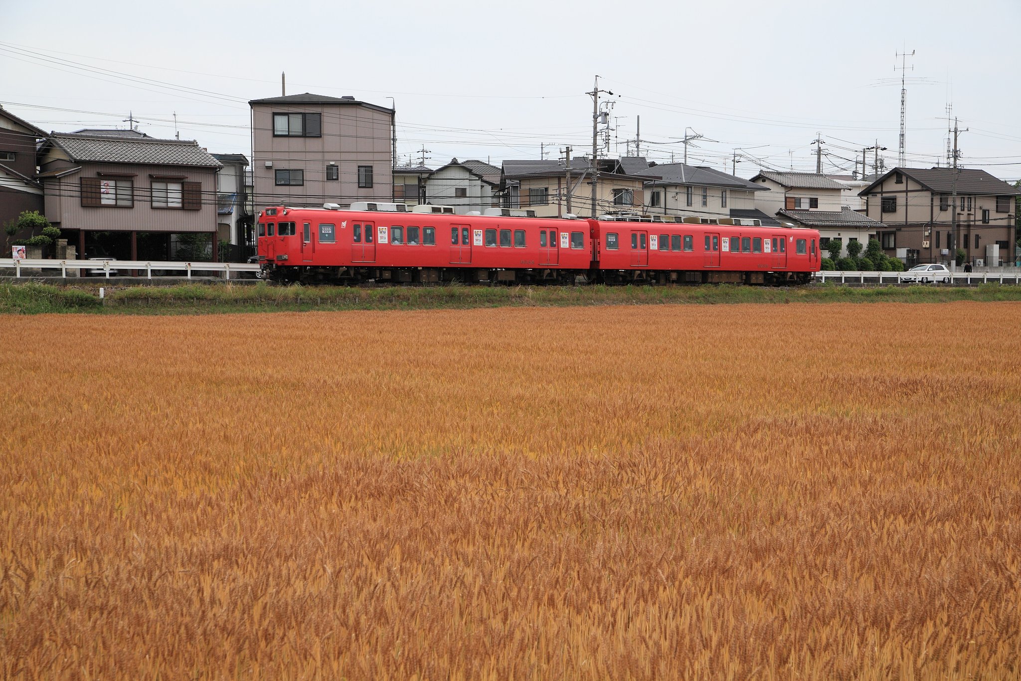 麦秋の名鉄電車