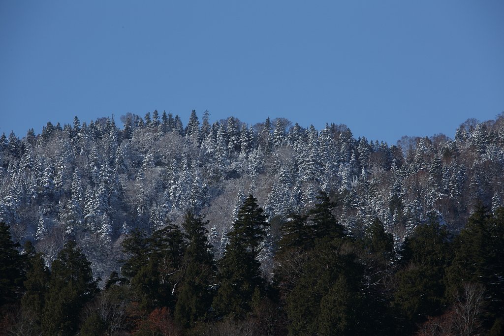 冠雪の峰