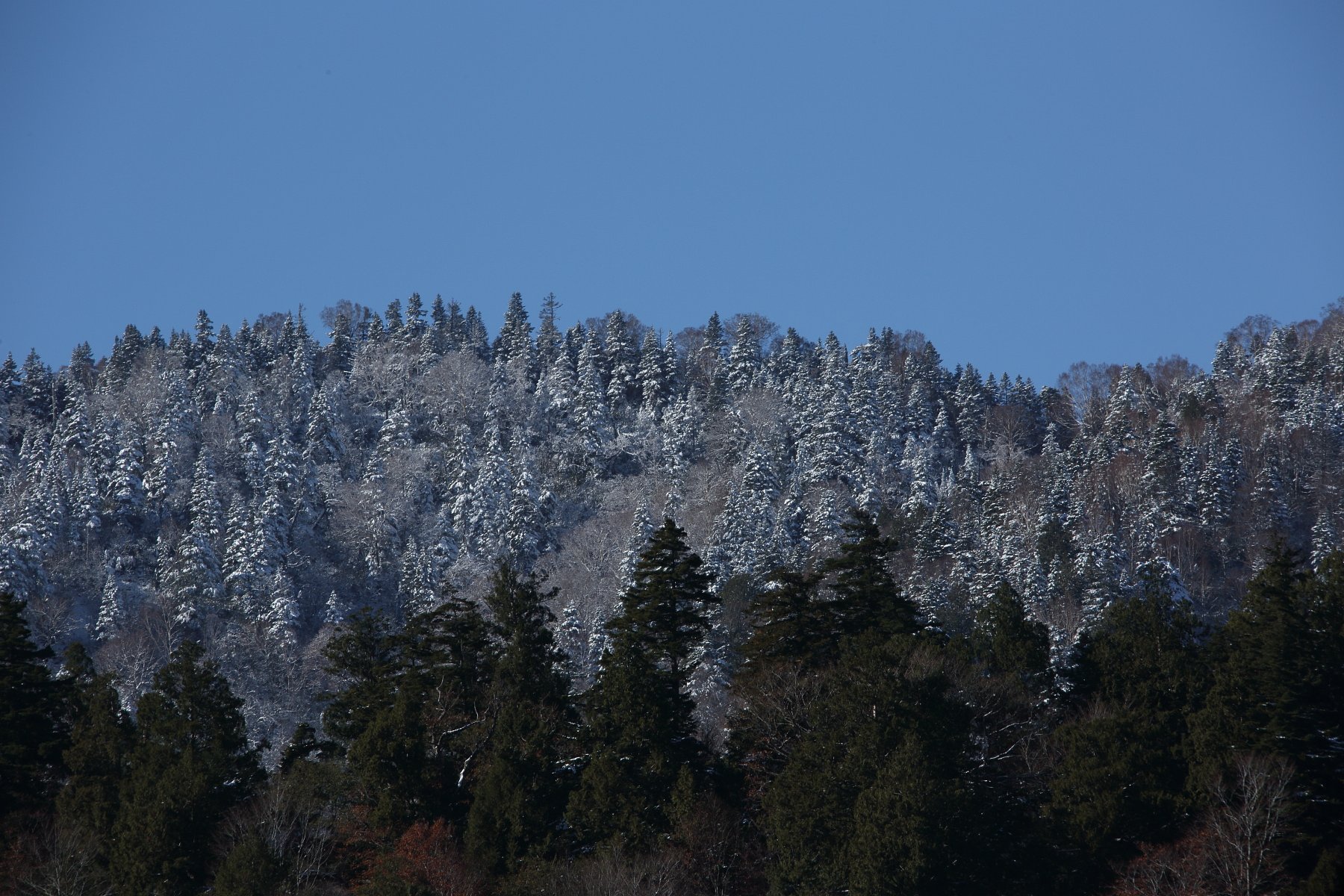 冠雪の峰