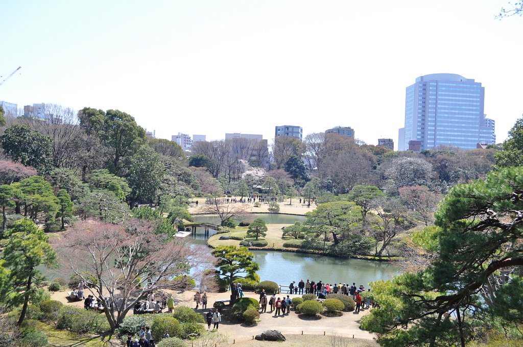 藤代峠からの風景