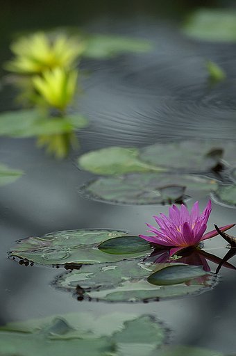 掛川花鳥園にて・・・１