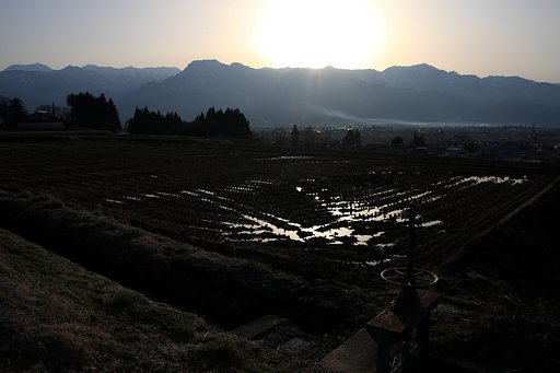 対岸の野焼き