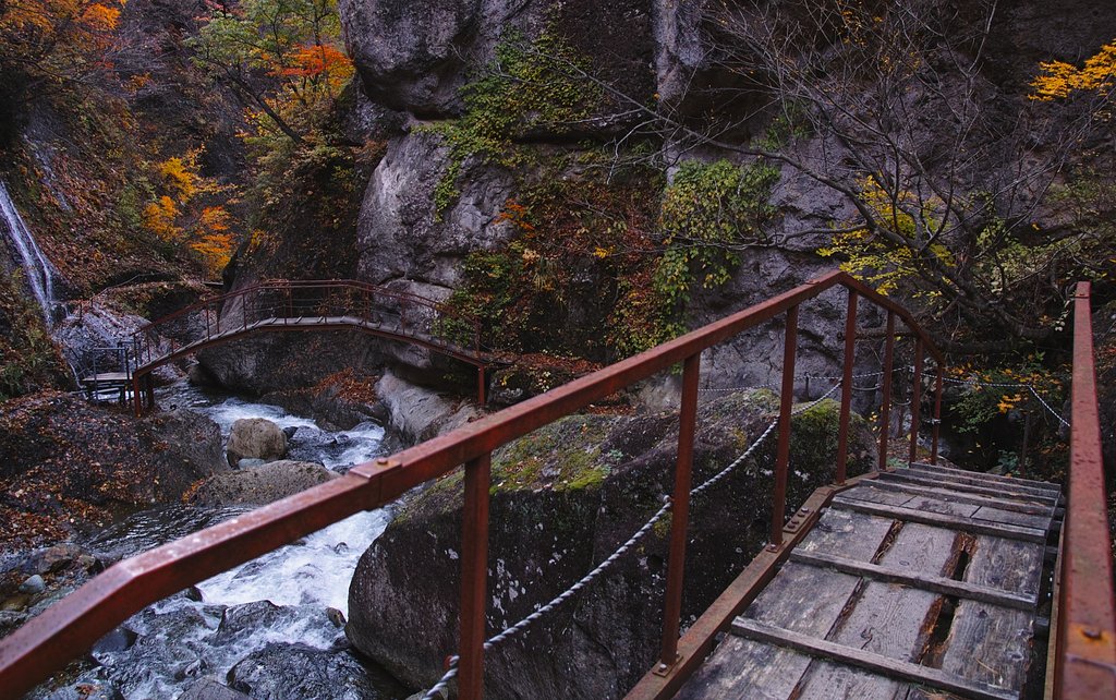 紅葉川にかかる橋