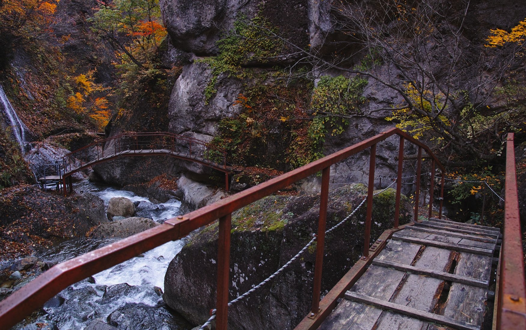 紅葉川にかかる橋