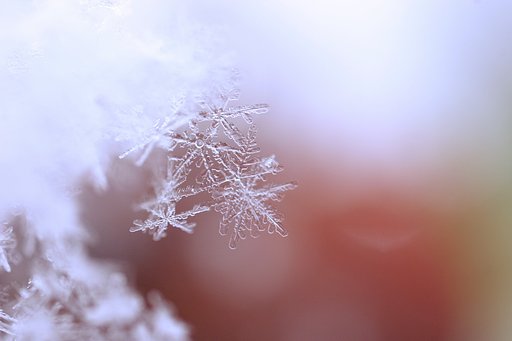 雪の世界の天使たち
