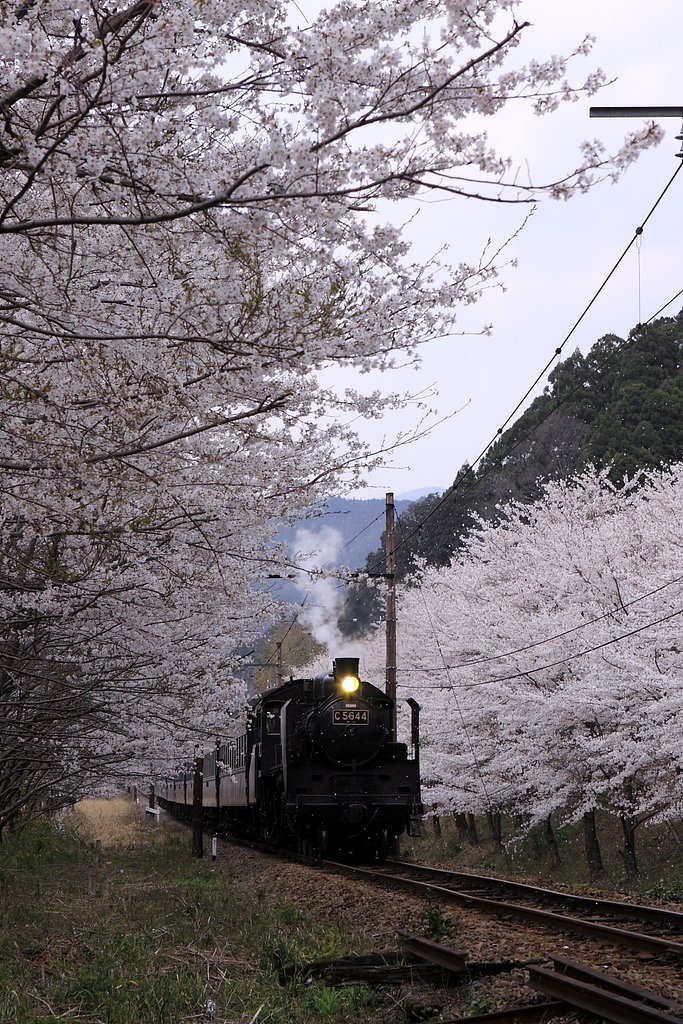 大井川鉄道　3