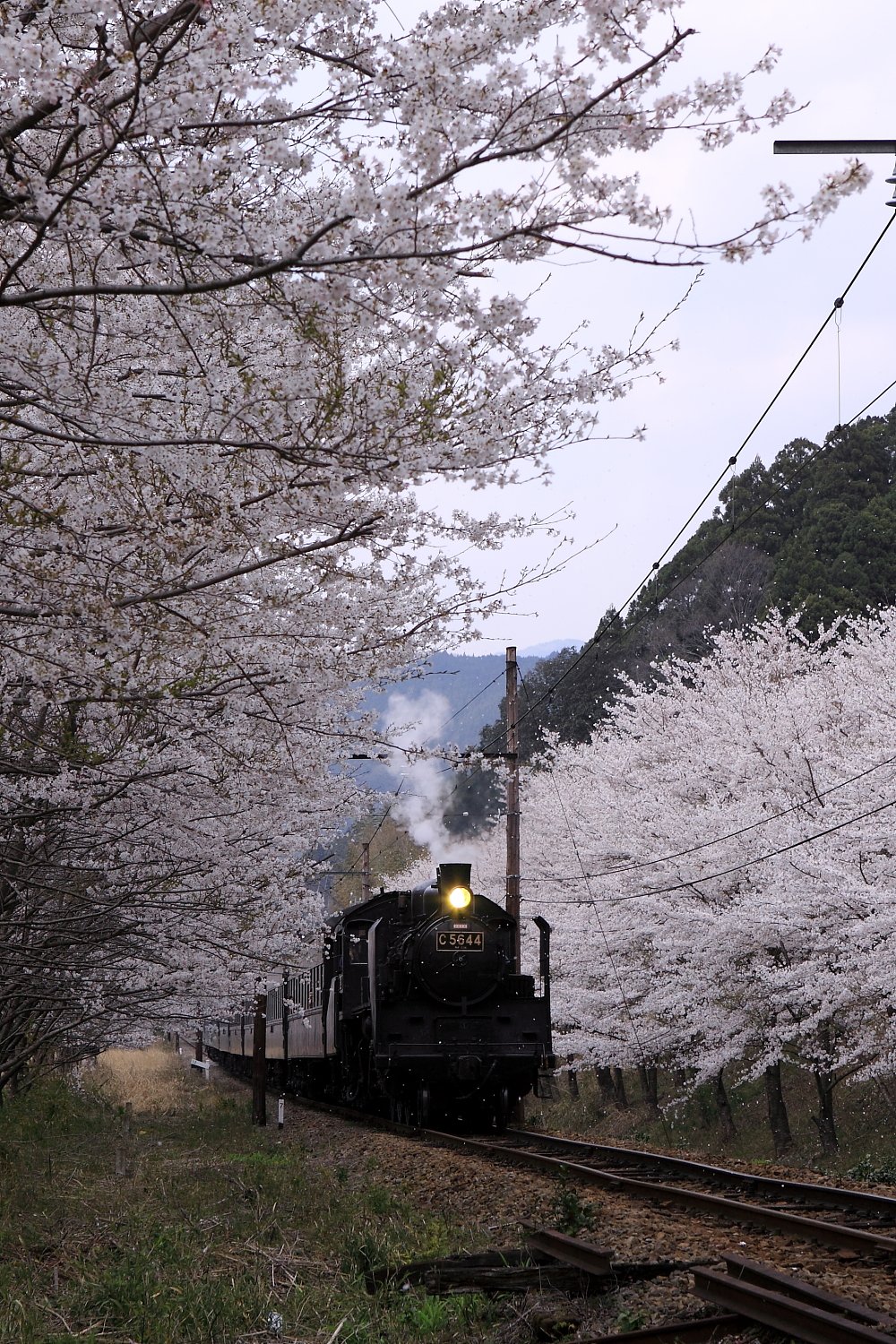 大井川鉄道　3