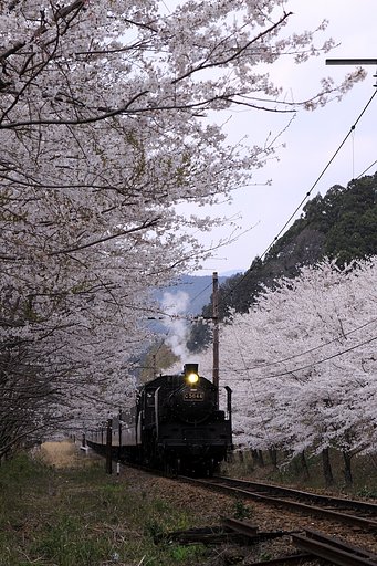 大井川鉄道　3