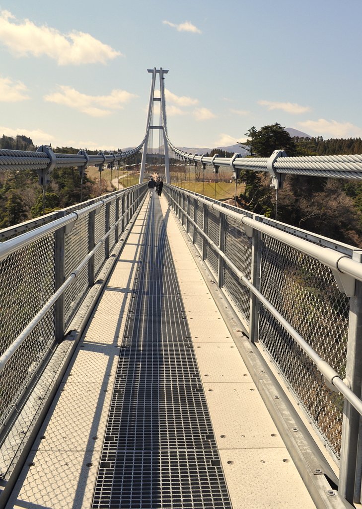【道】九重夢大吊橋