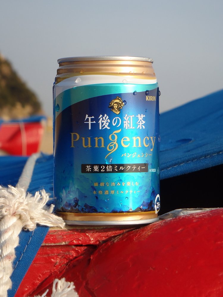 海水浴場の春