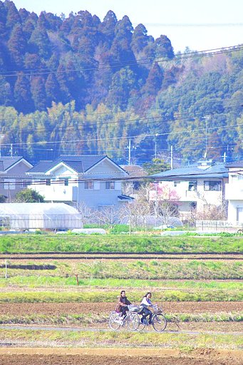 【淡彩】　春休み