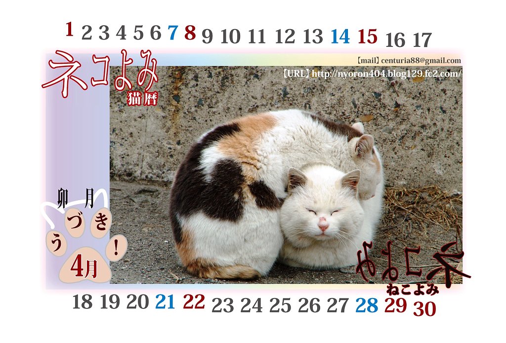 卯月。。。