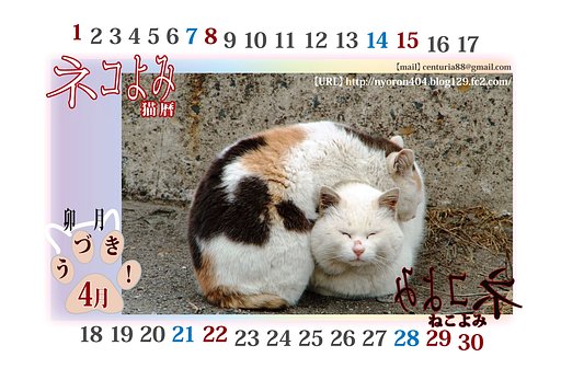 卯月。。。