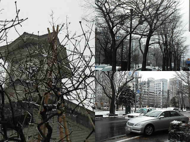 大雪でしたぁ（＾＾；；