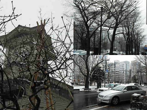 大雪でしたぁ（＾＾；；