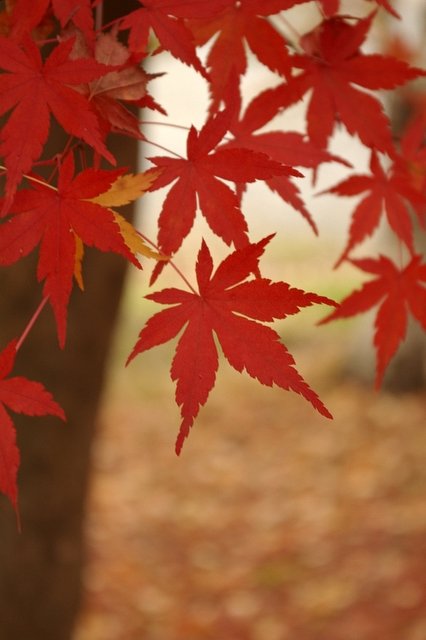 偶然見つけた小さな公園