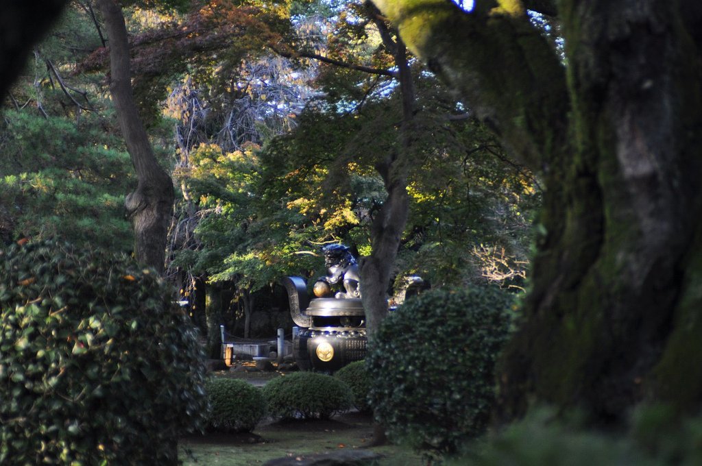 豪徳寺にて
